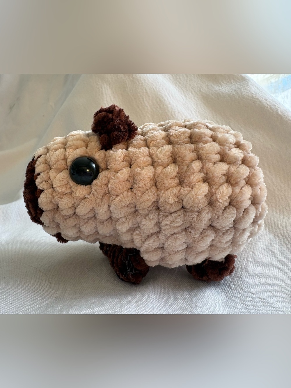 Pocket-sized capybara - Picture 2 of 3